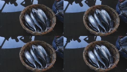 传统市场上的大金枪鱼高清在线视频素材下载