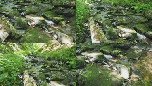 春天森林里的小溪高清在线视频素材下载