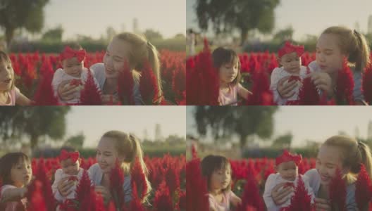 一个亚洲女人带着两个女儿在日落时分的向日葵农场。高清在线视频素材下载