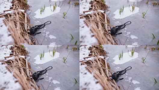 防护布口罩被困在结冰的河流的冰块中高清在线视频素材下载