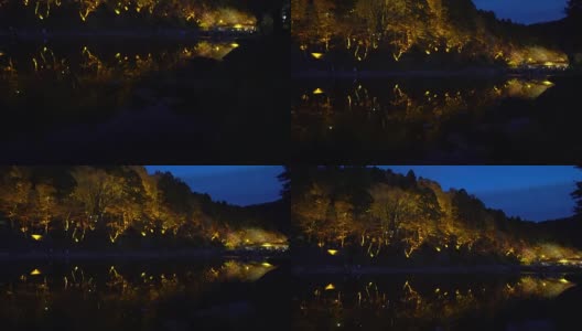 电影倾斜可兰经森林公园夜晚与灯光照明日本名古屋高清在线视频素材下载