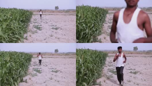 年轻的男孩在绿色的田野附近奔跑和打电话高清在线视频素材下载