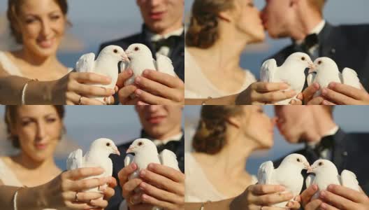 新娘和新郎和白鸽高清在线视频素材下载