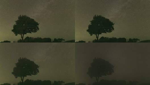 夜晚美丽的银河在天上伴着树高清在线视频素材下载