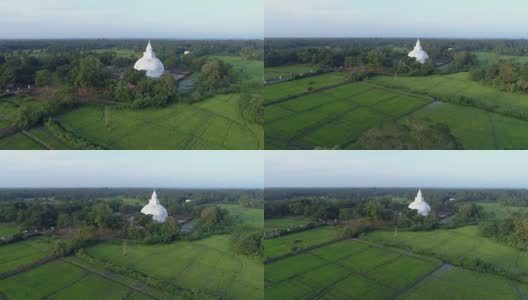 稻田和佛寺高清在线视频素材下载