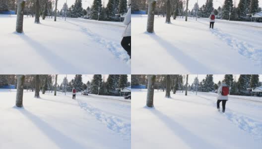 雪中行走的女人。高清在线视频素材下载