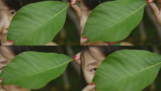 女人玩叶子，一个害羞的眼神高清在线视频素材下载