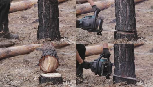 森林砍伐。伐木工人正在用链锯锯树。高清在线视频素材下载