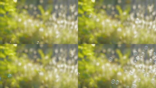 绿草背景上的气泡高清在线视频素材下载