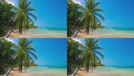 棕榈及热带海滩高清在线视频素材下载