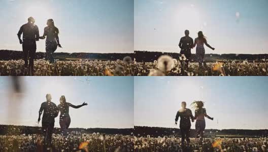 一对年轻的夫妇在蒲公英草地上奔跑高清在线视频素材下载