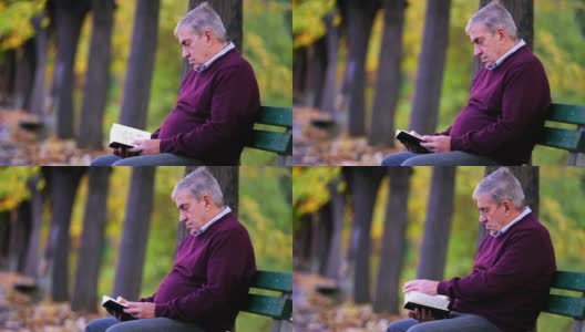 老人在公园里看书高清在线视频素材下载