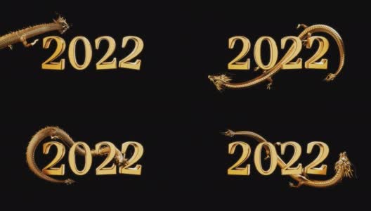 金中国龙约函2022年文。高清在线视频素材下载