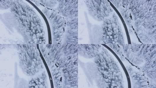 鸟瞰冬季道路和白雪覆盖的松树。高清在线视频素材下载