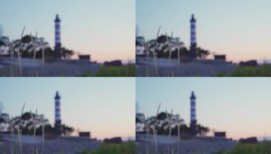 纤弱的草叶在风中摇曳，背景是海滨的红白灯塔高清在线视频素材下载