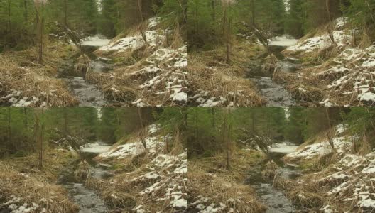 冬季森林中的小溪高清在线视频素材下载