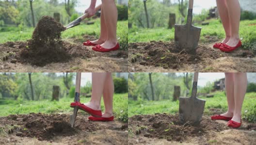 年轻女子穿着红色舞鞋挖花或菜地高清在线视频素材下载