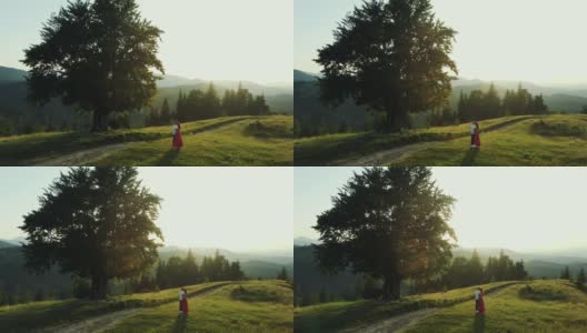 这对浪漫的情侣在春天的田野里拥抱，夕阳西下，在一棵枝叶繁茂的绿树旁，以山景为背景，在空中旋转高清在线视频素材下载