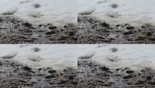 在山坡上厚厚的积雪下流淌的溪水高清在线视频素材下载