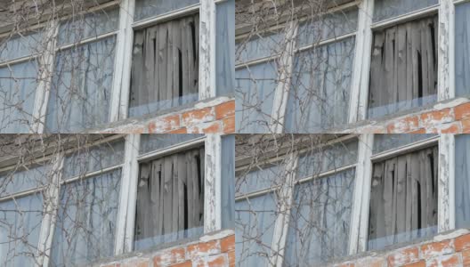 废弃的旧窗户，树枝和破旧的窗帘高清在线视频素材下载