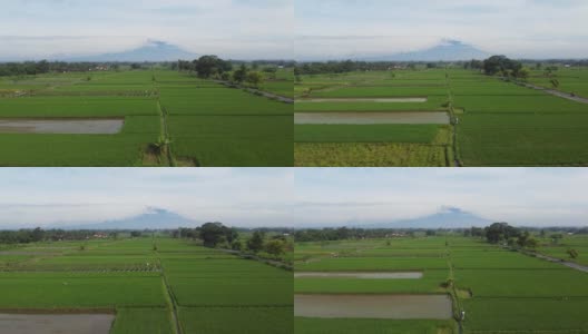 风景日惹，空中农业在稻田默拉皮山景早上高清在线视频素材下载