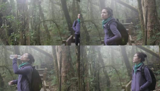 4K:在雨林自然步道中徒步的女性，4K(超高清)高清在线视频素材下载