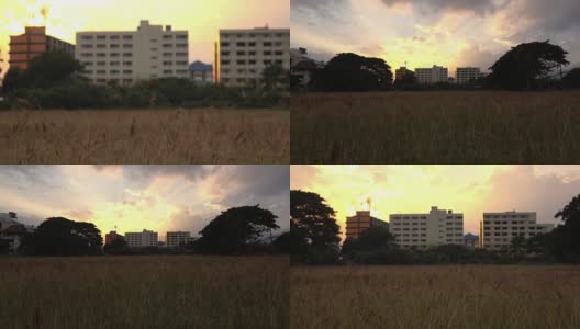 阳光下的草地，城市里的夕阳天空高清在线视频素材下载