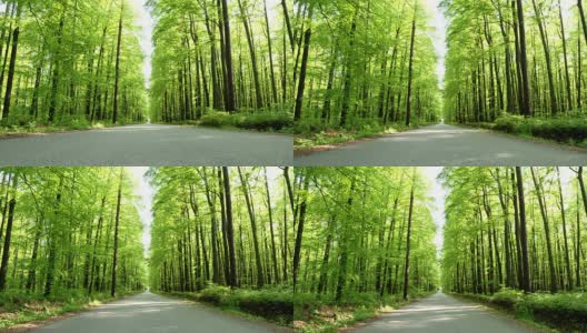 HD CRANE:穿过绿色森林的道路高清在线视频素材下载