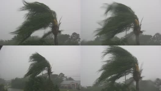 热带风暴高清在线视频素材下载