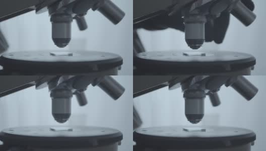 显微镜安装在玻片上的特写镜头。在科学实验室工作。学校科学项目。人手戴橡胶保护手套。高清在线视频素材下载
