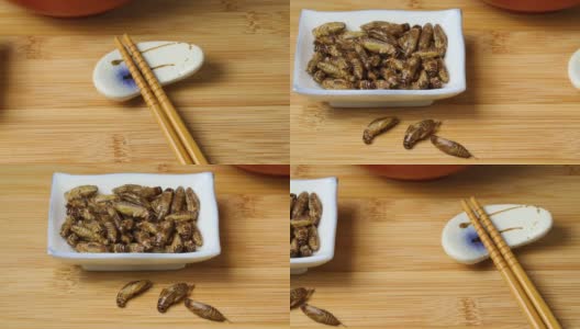 咸脆的小蟋蟀在碗里吃作为小吃高清在线视频素材下载