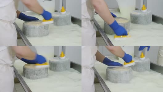 清洗奶酪的形状-日记奶酪工厂高清在线视频素材下载