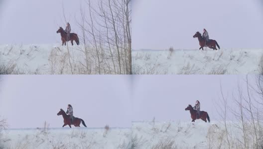美丽的长发女子骑着一匹棕色的马穿过森林里的深雪堆高清在线视频素材下载