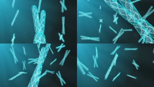 染色体遗传学研究在生物化学中对人类基因组DNA进行3d渲染高清在线视频素材下载