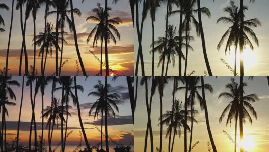 时间流逝的日出。印度尼西亚巴厘岛海滩上的棕榈树，海面上的日出高清在线视频素材下载