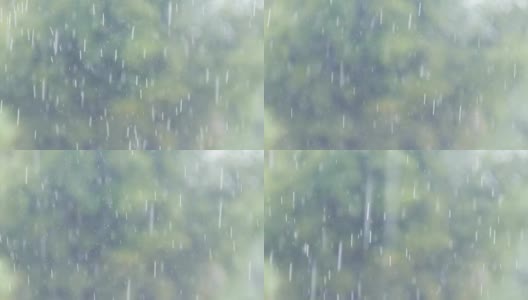 倾盆大雨在热带雨林中模糊了树木的背景高清在线视频素材下载