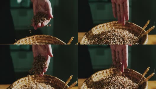 SLO MO小麦谷粒从手上落下高清在线视频素材下载