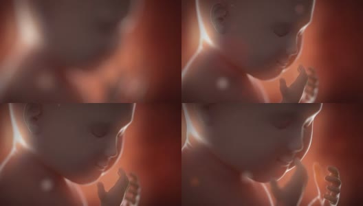 胎儿婴儿移动妊娠概念高清在线视频素材下载