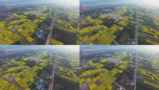 鸟瞰中国四川农村景观与油菜种子田和村庄，4k高清在线视频素材下载