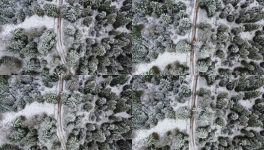 雪中的小径高清在线视频素材下载