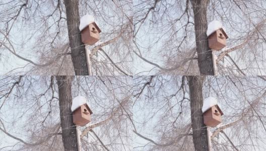 木制鸟笼挂在树上，树上覆盖着积雪。帮助鸟类的概念高清在线视频素材下载