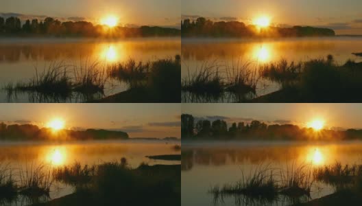 景观与日出在河上的雾，全景高清在线视频素材下载