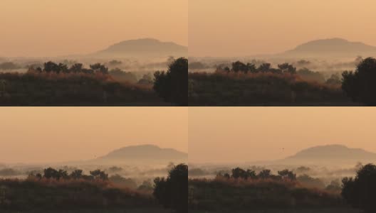 令人惊叹的日出在雾蒙蒙的景观。雾蒙蒙的早晨天空的风景与初升的太阳在雾蒙蒙的森林高清在线视频素材下载