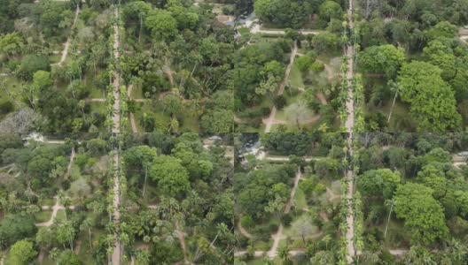 巴西里约热内卢植物园，无人机鸟瞰图，2022年高清在线视频素材下载
