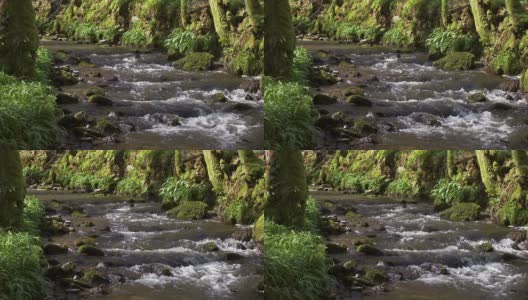 一条小溪流过苏格兰乡村高清在线视频素材下载