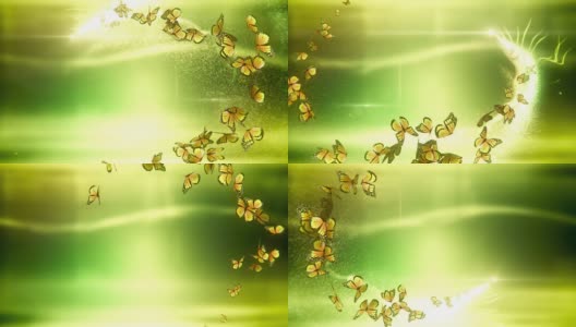 魔法蝴蝶(绿色)-环高清在线视频素材下载
