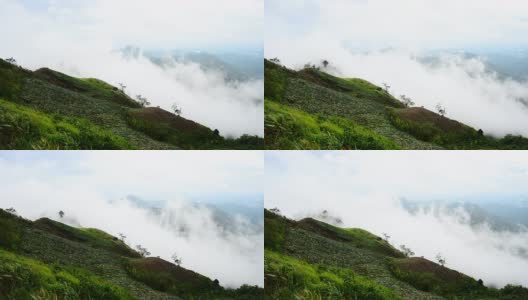 山,雾。/泰国碧差汶省公园府，雨季。高清在线视频素材下载