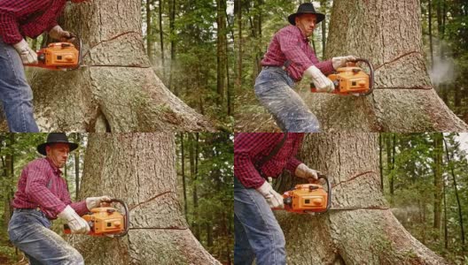 伐木工人正在用电锯砍树高清在线视频素材下载