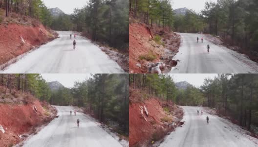 职业自行车手骑公路自行车，在山路上坡。骑自行车的人在森林山路上骑车。一群朋友在山里骑自行车旅行。自行车运动的概念高清在线视频素材下载