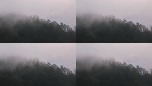 在雾天，绿色雨林山脉的景观视图高清在线视频素材下载